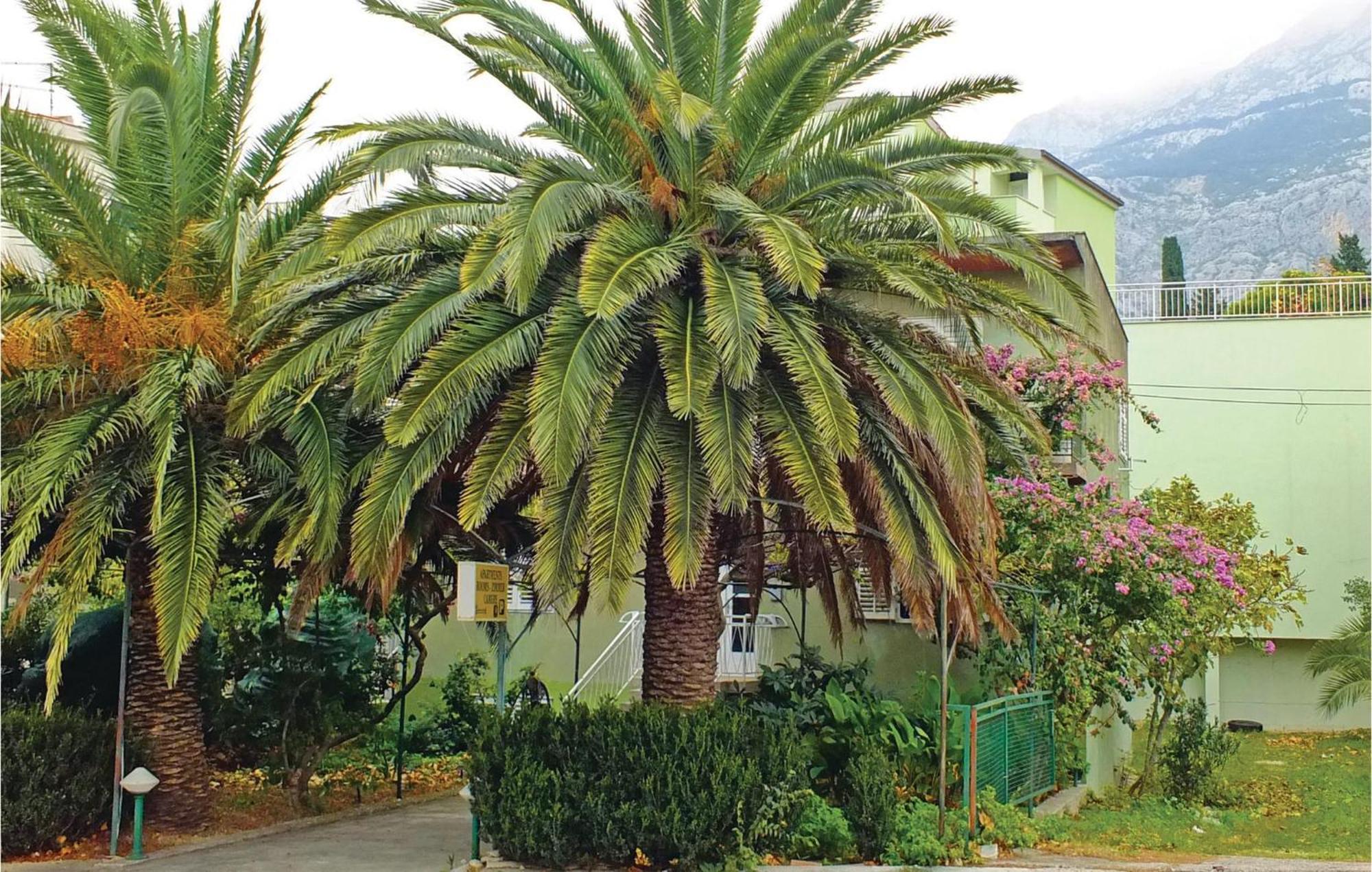 Lovely Apartment In Makarska With Wifi Экстерьер фото